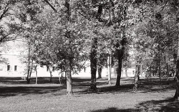 La sede di Novedrate fra gli alberi del parco, in bianco e nero.